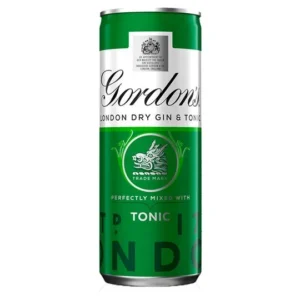 Gordon's Gin and Tonic 250ml
